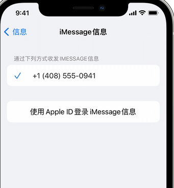 沉湖管委会apple维修iPhone上无法正常发送iMessage信息