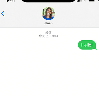 沉湖管委会apple维修iPhone上无法正常发送iMessage信息