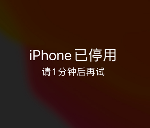 沉湖管委会苹果手机维修分享:iPhone 显示“不可用”或“已停用”怎么办？还能保留数据吗？ 