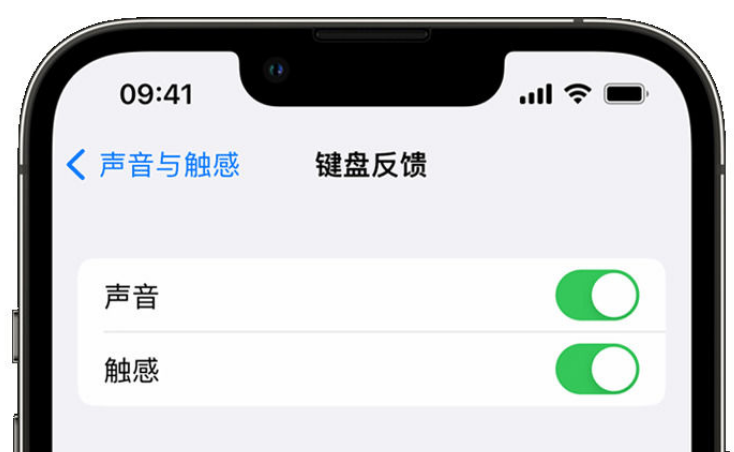 沉湖管委会苹果手机维修分享iPhone 14触感键盘使用方法 