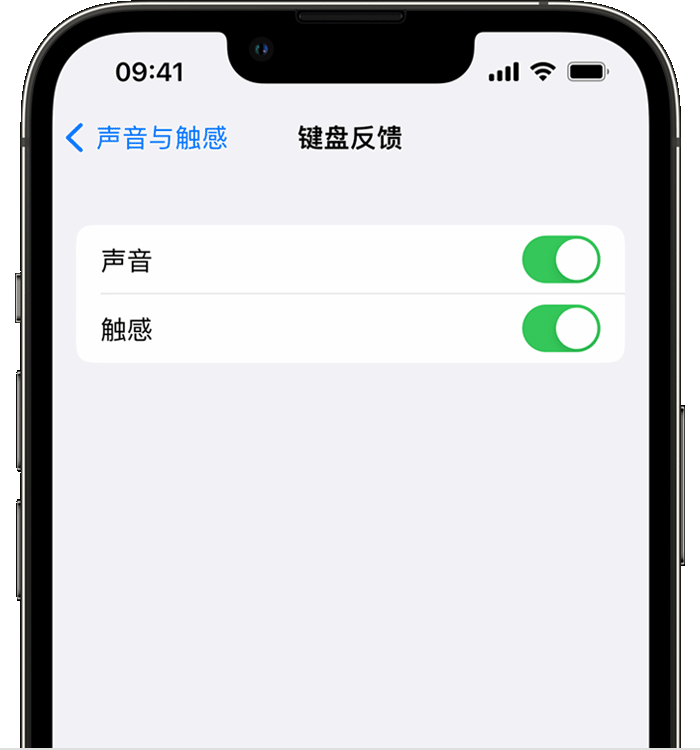 沉湖管委会苹果14维修店分享如何在 iPhone 14 机型中使用触感键盘 