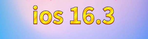 沉湖管委会苹果服务网点分享苹果iOS16.3升级反馈汇总 