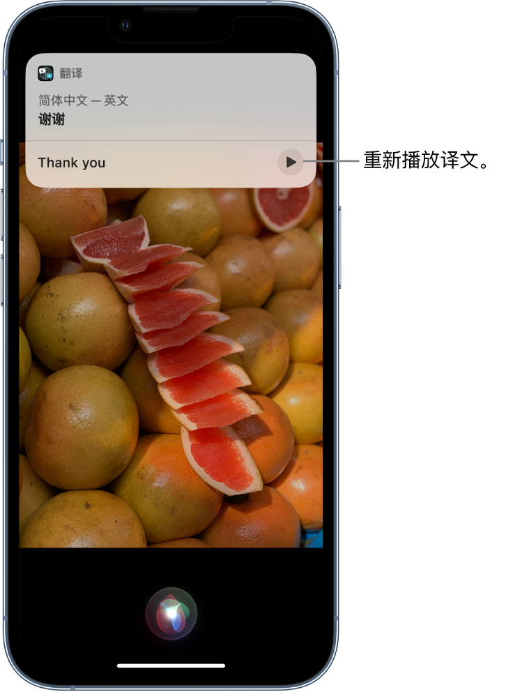 沉湖管委会苹果14维修分享 iPhone 14 机型中使用 Siri：了解 Siri 能帮你做什么 