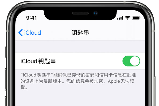 沉湖管委会苹果手机维修分享在 iPhone 上开启 iCloud 钥匙串之后会储存哪些信息 