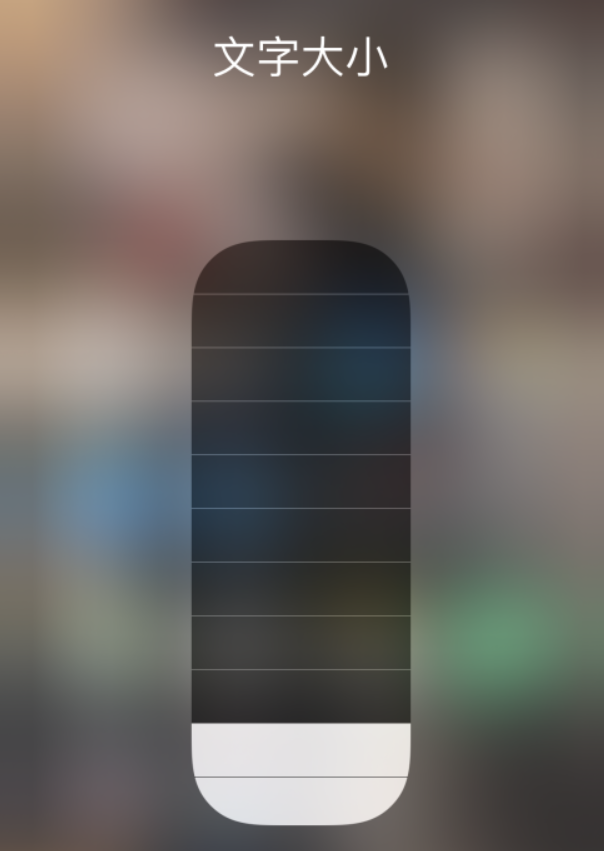 沉湖管委会苹果手机维修分享小技巧：在 iPhone 控制中心快速调节字体大小 